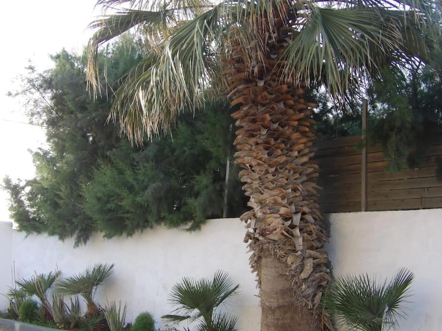 Teo 1 Apartment Gouves Exterior foto